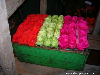 colour