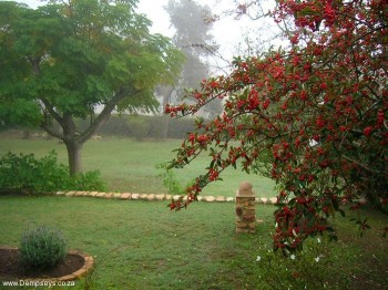 Misty morn at Dempsey's Guest House.