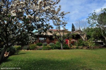 Front garden at Dempsey's Guest House