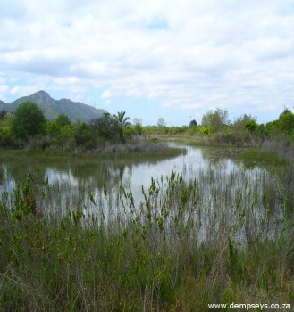 still waters at van staden's flower reserve