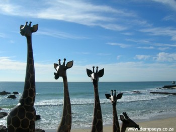 Wooden giraffes on sale at humewood beach, port elizabeth