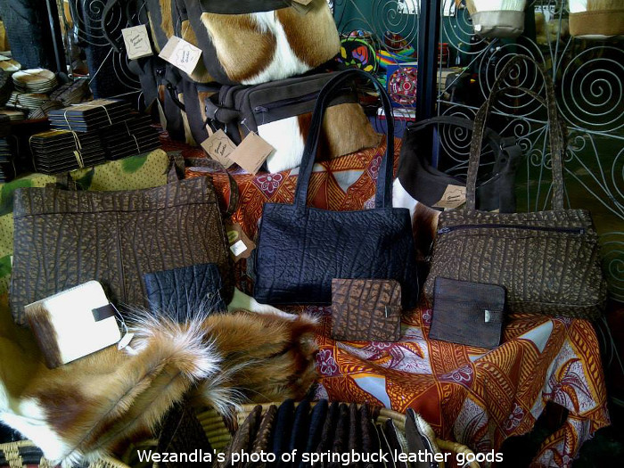 springbok leather goods at wezandla