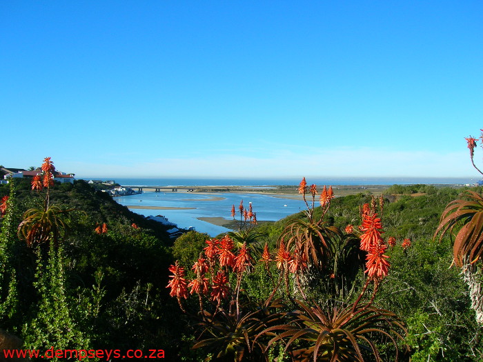 winter delight in the eastern cape.