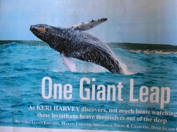 keri harvey writes about lloyd edwards