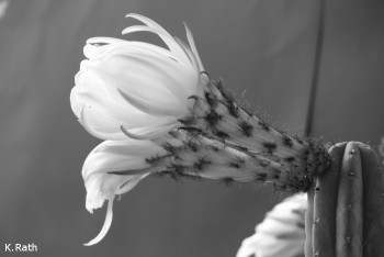 053