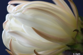 056