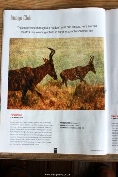 photographer: alan fogarty's first prize competition 'image club' sa country life aug 2015