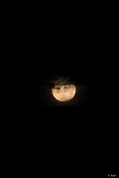 hanging full moon, about to disappear