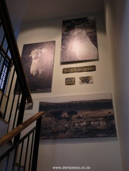 stairwell at mohair sa hq