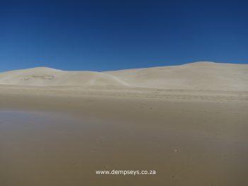 the sand dune climb is worth the view from the top