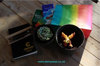 an array of gifts from our guests ( biltong and whisky missing)