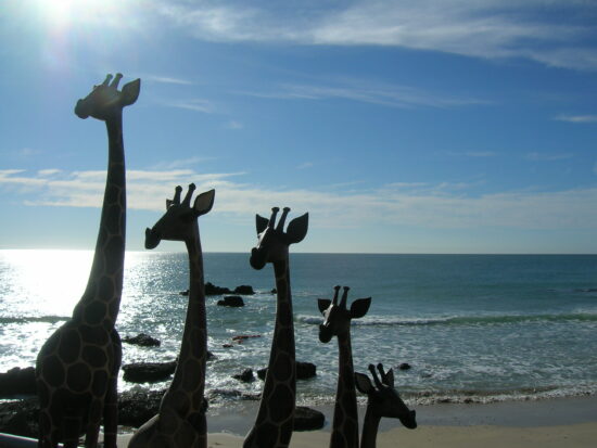 wooden crafts for sale along the beachfront