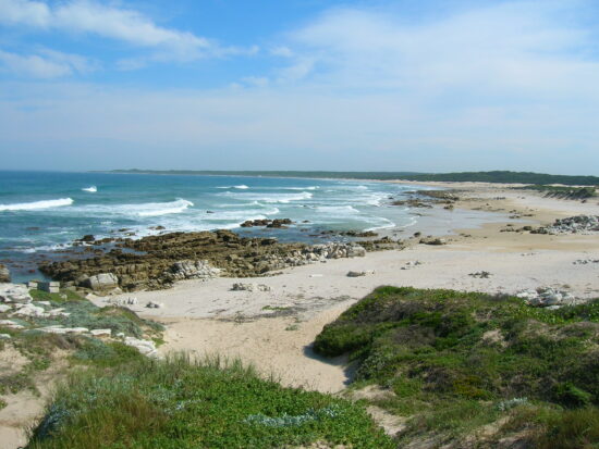 'wild' side beaches, port elizabeth