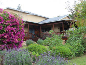 front view of family rooms at dempsey's guest house